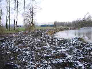 Dijleland10.jpg (12028 bytes)