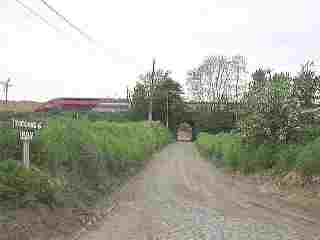 Wandeling5.jpg (3720 bytes)