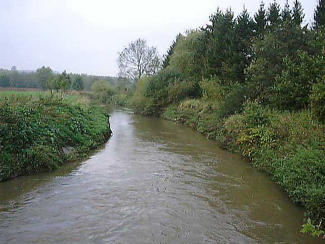 dijle.JPG (37997 bytes)