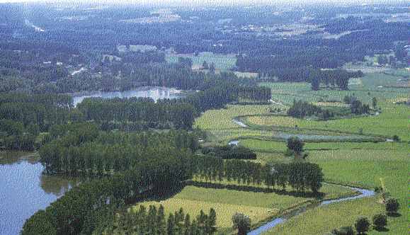 dijlevallei.jpg (28151 bytes)