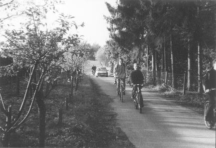 duivenstraat.jpg (27269 bytes)