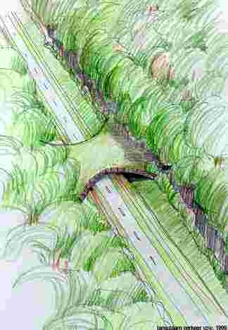 ecoduct.jpg (11276 bytes)