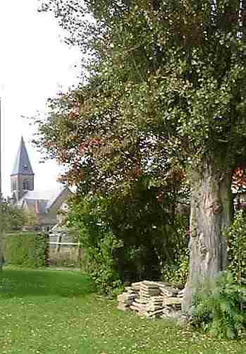 kerk haasrode.jpg (22754 bytes)