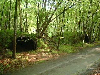 springputten.jpg (25011 bytes)