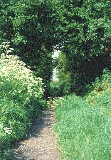 Termunckveld