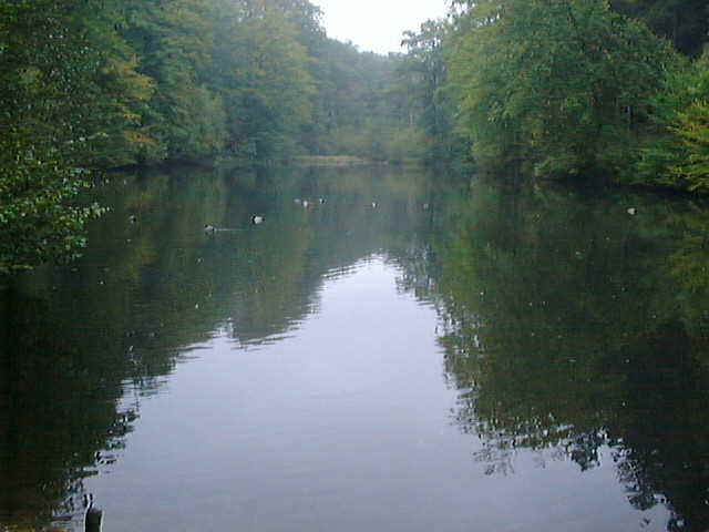 paddenpoel