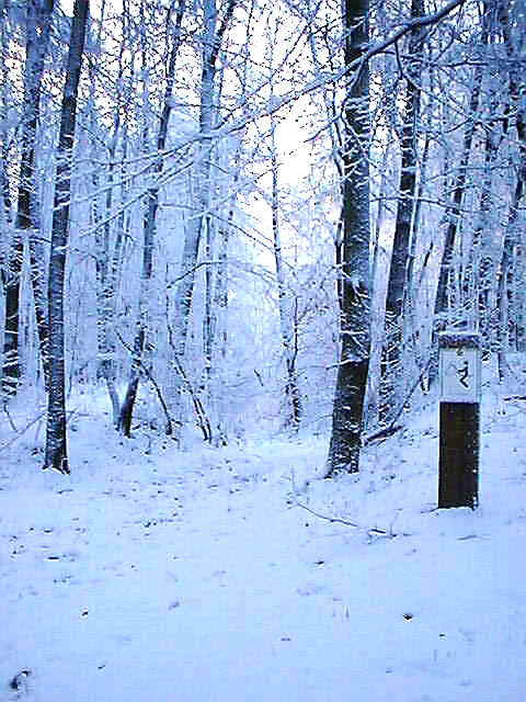 sneeuwruiterpad